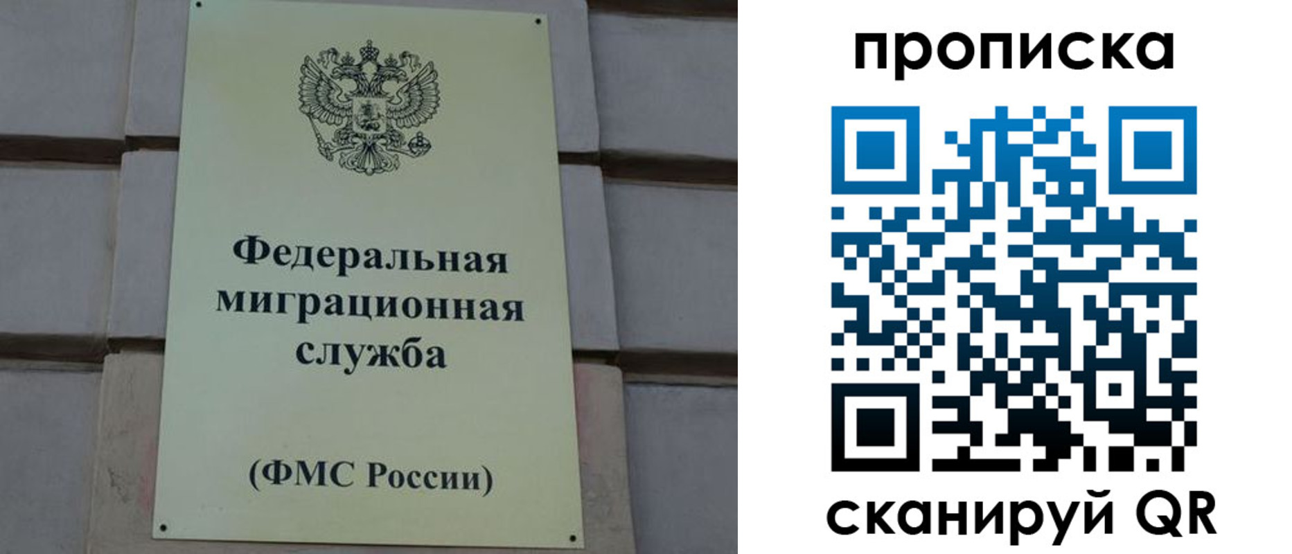прописка поиск в Всеволожске